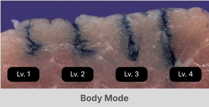 body mode