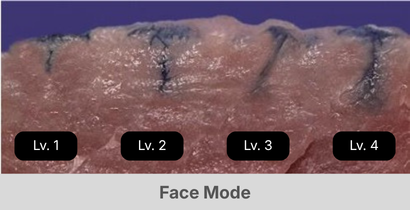 face-mode